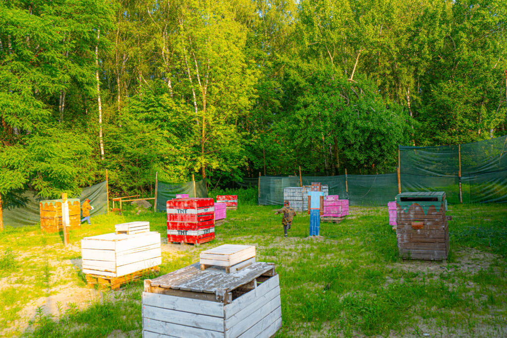 Pole wzorowane grą - Dla szkół